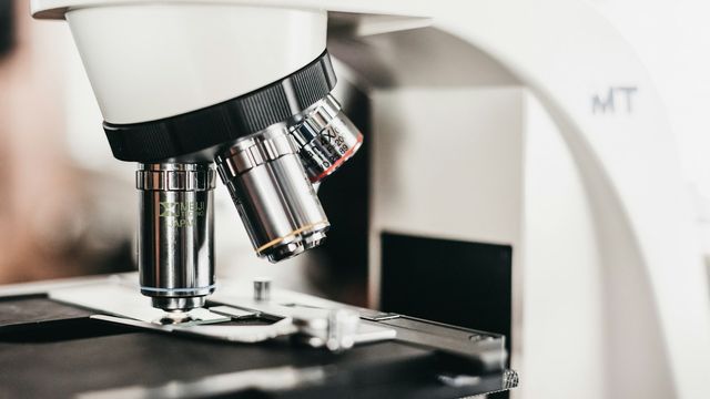 Close-up of a laboratory microscope examining a sample slide. 