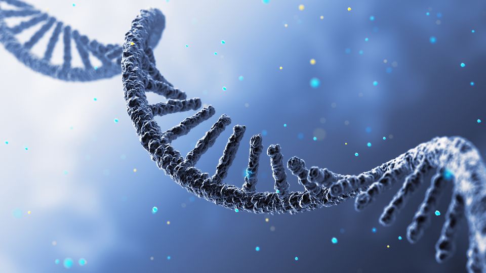 Render of an RNA strand running diagonally across a hazy blue background.