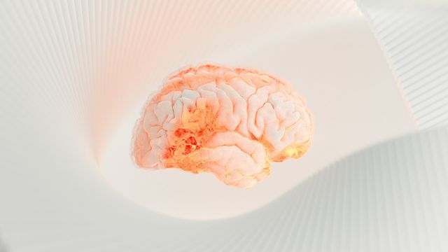 Illustration of a glowing human brain with gyri and sulci structures, against a light background. 