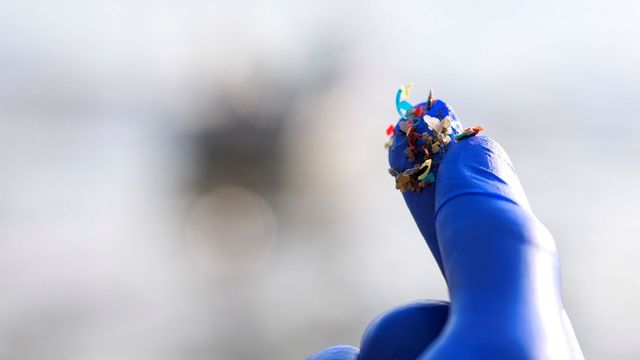 Gloved hand holding microplastic particles collected for laboratory analysis. 