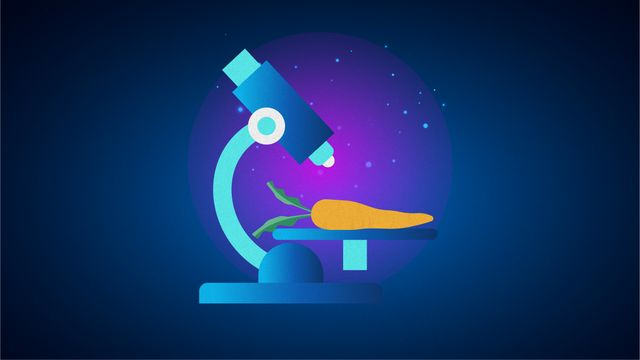 A digital illustration of a carrot being examined under a microscope slide. 
