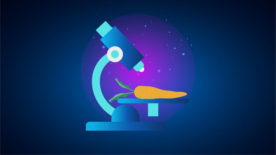A digital illustration of a carrot being examined under a microscope slide.