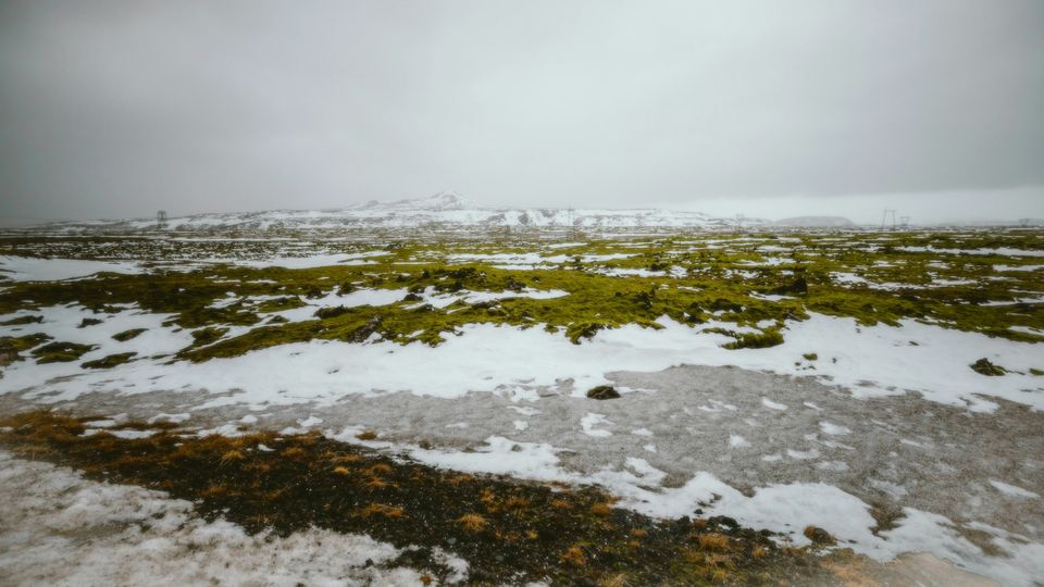 A landscape covered in permafrost, snow, and grass.
