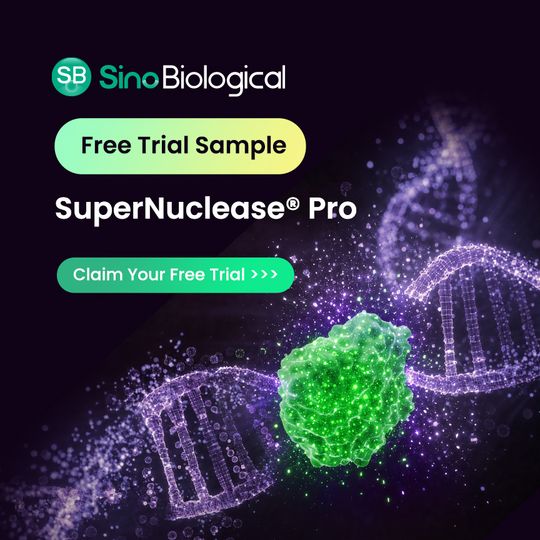 Sino Biological banner offering a free trial of SuperNuclease Pro, with glowing DNA strands. 