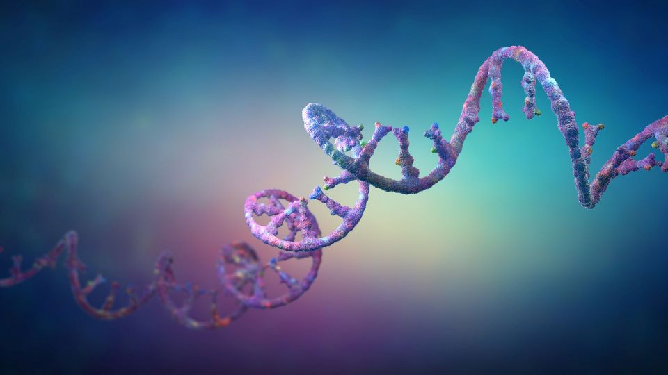 Illustration of an RNA strand made of multi-colored particles, spread horizontally against a hazy background.