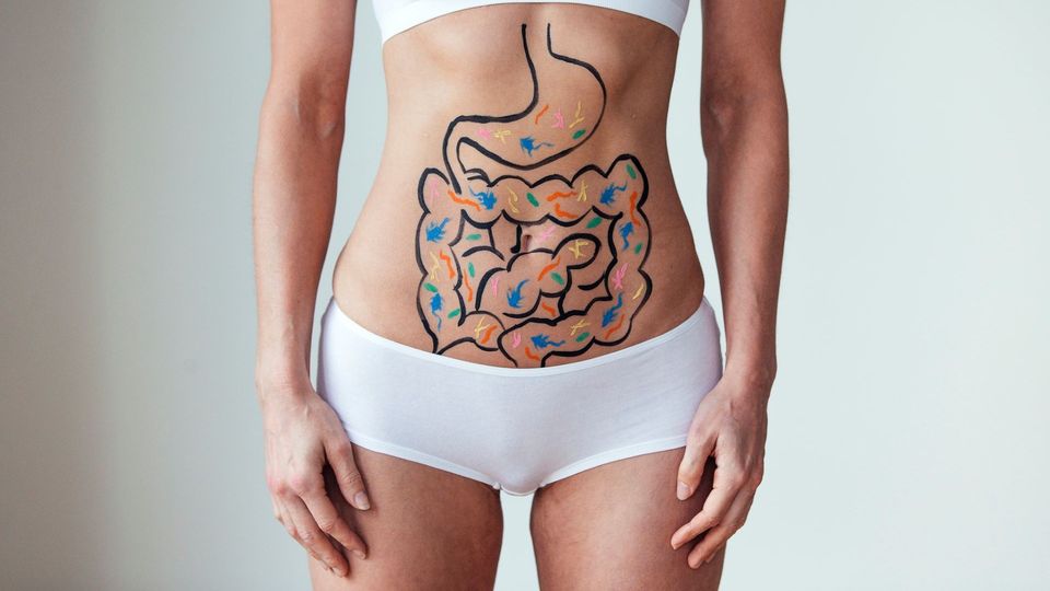 Illustration of the digestive system and gut bacteria drawn on a person's abdomen.