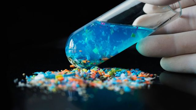 Photo: technologynetworks.com Common Microplastic Polyethylene Linked to Increased Fatty Liver Disease Risk