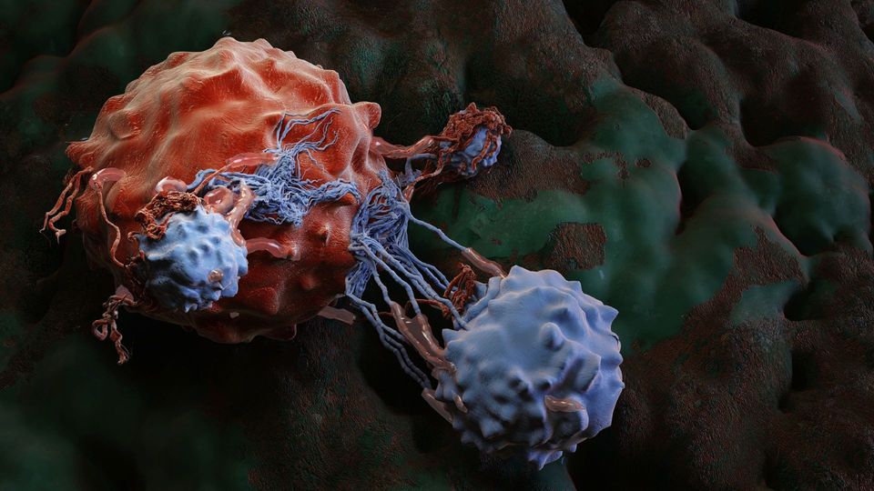 Illustration of immune cells attacking a cancer cell during the body's anti-cancer immune response.