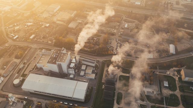 Photo: technologynetworks.com PM2.5 Pollution Linked to Rheumatoid Arthritis Flares, Study Finds