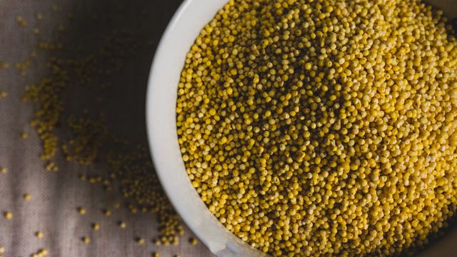 An overhead photo of a large white bowl filled with millet grains. 