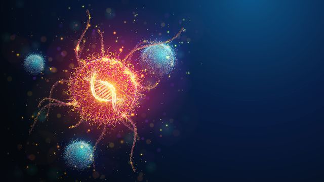 Illustration of an orange cancer cell surrounded by blue immune cells. The cancer cell has a DNA double helix inside and appears to be glowing. 