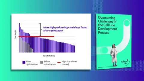 Speed and Survival in Single Cell Cloning