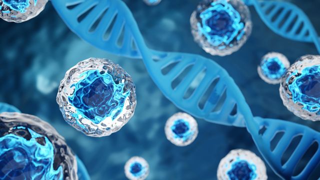 Cells with blue nuclei and strands of blue DNA floating against a dark blue background. 