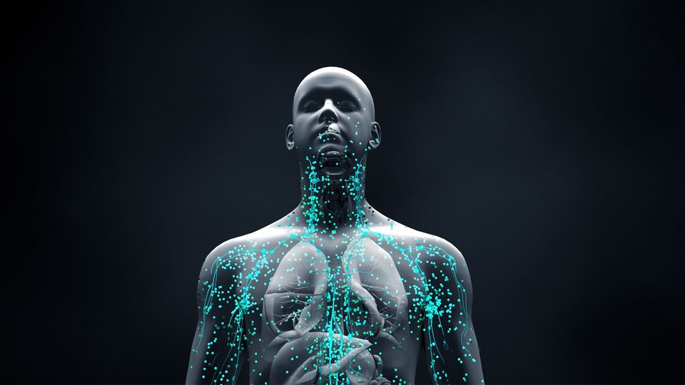 3D render of a human body with glowing lymphatic pathways, illustrating the immune system.