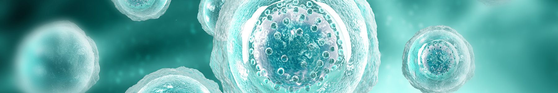Proteomics visualization of host cell proteins and molecular structures. 