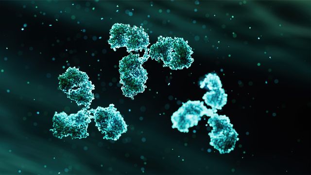 3D illustration of antibody molecules suspended against a dark background. 