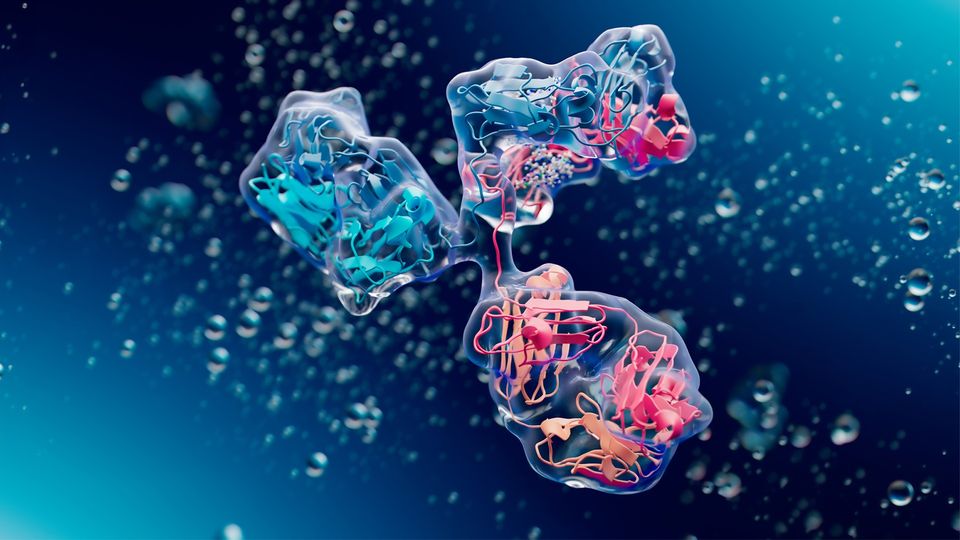Antibody structure showing helices across three arms in blue, orange, and red, against a dark background.