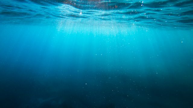 An underwater photograph showing sunbeams shining through the waves and under the sea. 