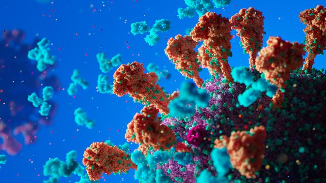 Colorful molecular structures. 