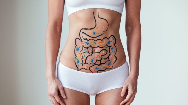 A woman's torso with the outline of the intestines and various microbes drawn on top, representing the gut microbiome. 