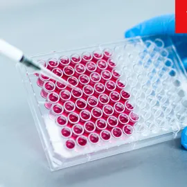 Pipette dispensing samples into a microplate for biomarkers and liquid biopsy research.