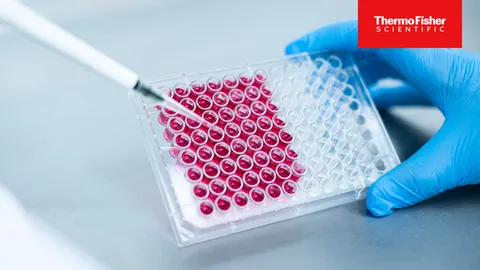 Pipette dispensing samples into a microplate for biomarkers and liquid biopsy research.