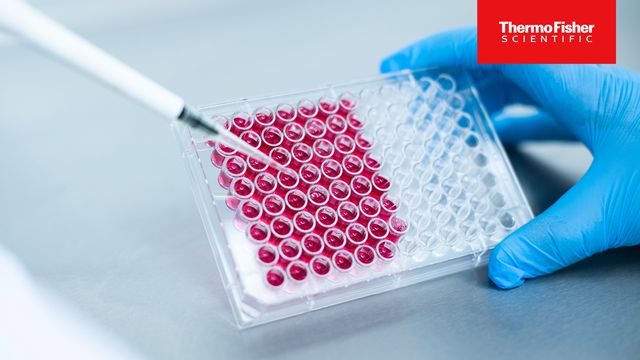 Pipette dispensing samples into a microplate for biomarkers and liquid biopsy research. 
