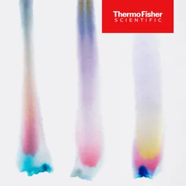 Chromatography columns showing separated colored bands, illustrating analytical separation.