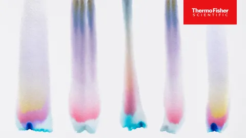 Chromatography columns showing separated colored bands, illustrating analytical separation.