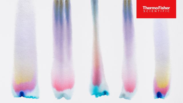 Chromatography columns showing separated colored bands, illustrating analytical separation. 