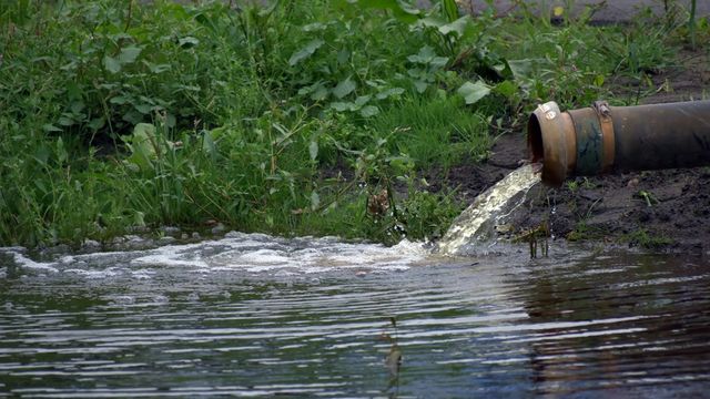 Water flowing from a drainage pipe into a natural waterway. 