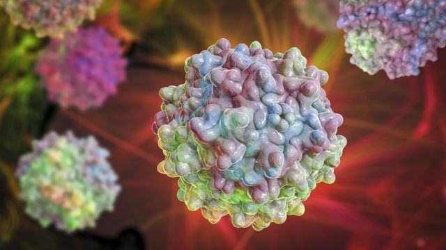 Illustration of green, pink, and blue adeno-associated viruses floating on a red background. 