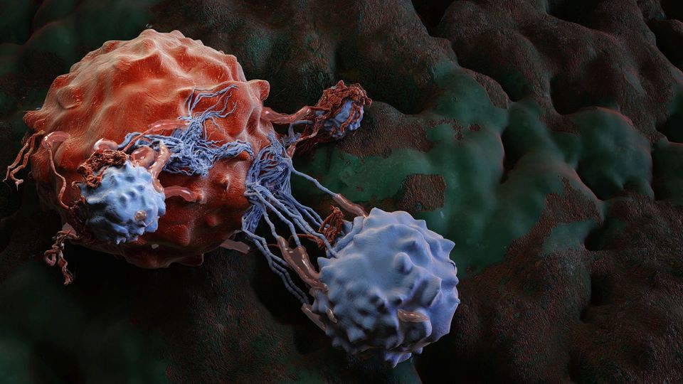 Pro-LYTAC Therapy Targets Triple-Negative Breast Cancer