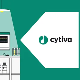 Western blot laboratory analysis with a scientist and protein data on a monitor