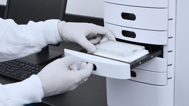 White-gloved hands handling a microplate for assessing plasmid topology and key QC parameters. 