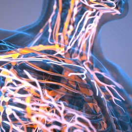 Neon-lit human torso showing the nervous system.