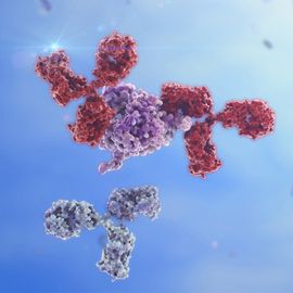 3D render of antibodies binding to a protein target, showing detailed molecular structures in a blue background. 