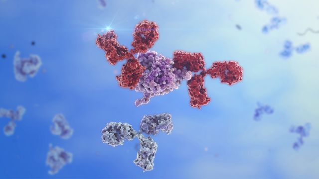 3D render of antibodies binding to a protein target, showing detailed molecular structures in a blue background. 