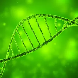 DNA double helix illustrating DNA methylation research.