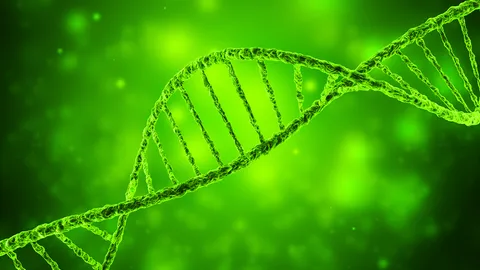 DNA double helix illustrating DNA methylation research.