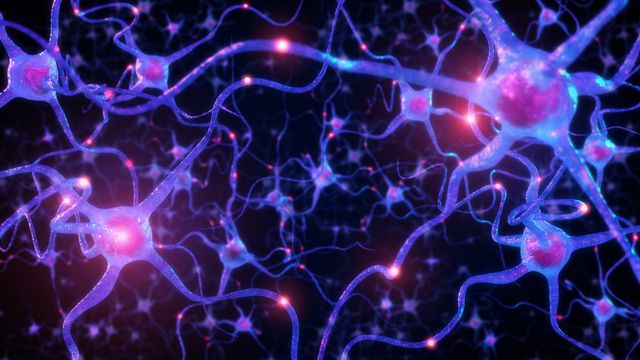 3D render of interconnected neurons with glowing synapses and branching nerve cells in blue and purple tones. 