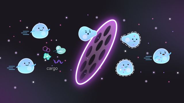 Cartoon-style graphic of a porous cell membrane, through which cells containing therapeutic cargo are passing. 