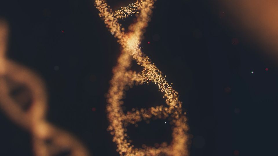 Glowing DNA helix made of golden particles against a dark background.