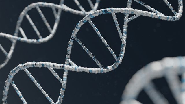 3D DNA helix with white and blue molecular strands on a dark background. 