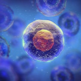 Illustration of cells floating on a dark blue background. The central cell appears to be glowing. 