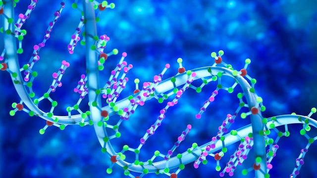DNA strand illustrating oligonucleotide design and analytical characterization. 
