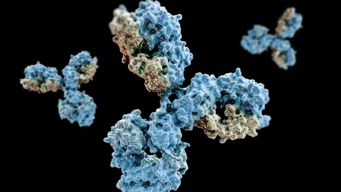 3D rendering of antibody proteins against a black background, representing biologic drug development and bioprocess scale-up.
