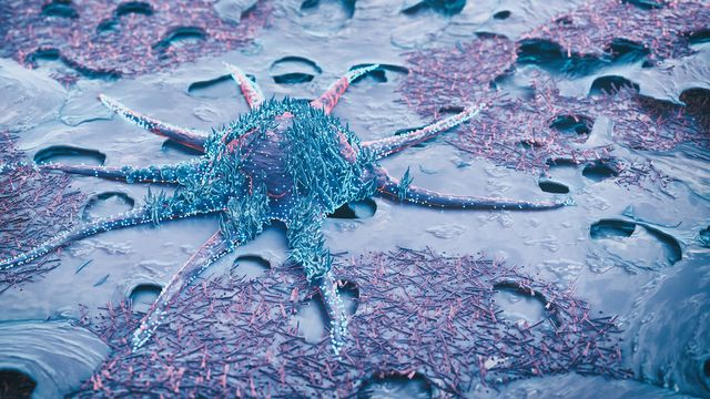 A cancer cell branches out to grow and spread. 