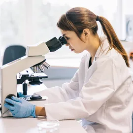 Researcher examining a sample under a microscope for microbial quality control.