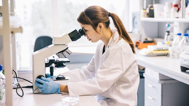 Researcher examining a sample under a microscope for microbial quality control. 